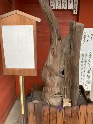 長泉寺の自然