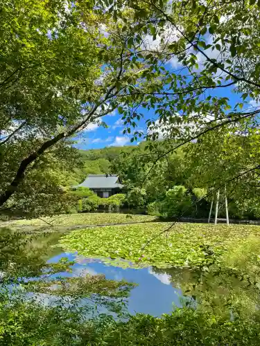 龍安寺の{uncategorized: "未分類", other: "その他", undefined: "問題あり", building: "その他建物", grave: "お墓", sacred_gate: "鳥居", guardian: "狛犬", statue: "像", buddha: "仏像", history: "歴史", nature: "自然", garden: "庭園", animal: "動物", pagoda: "塔", temizu: "手水舎", mountain_gate: "山門・神門", sanctuary: "本殿・本堂", subordinate: "末社・摂社", art: "芸術", scenery: "景色", jizo: "地蔵", ema: "絵馬", goshuin: "御朱印", omikuji: "おみくじ", items: "授与品その他", amulet: "お守り", goshuincho: "御朱印帳", eats: "食事", festival: "お祭り", votive_dance: "神楽", shichigosan: "七五三参", wedding: "結婚式", experience: "体験その他", initially: "初詣", around: "周辺", anti_infection: "感染症対策"}