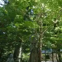 高野山金剛峯寺奥の院の仏像