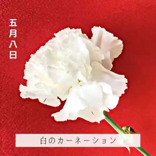 壽徳寺 じゅとくじ(福島県)