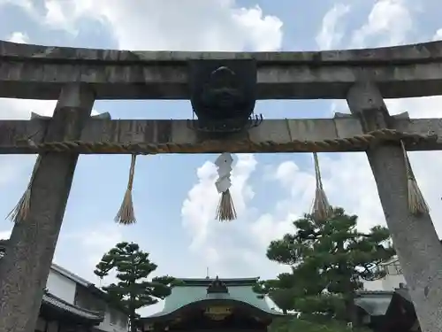 京都ゑびす神社の鳥居