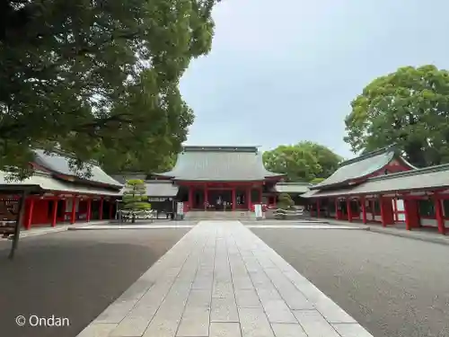 藤崎八旛宮(熊本県)