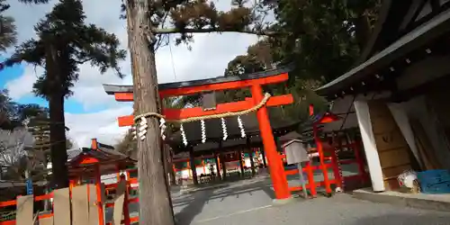 吉田神社の鳥居