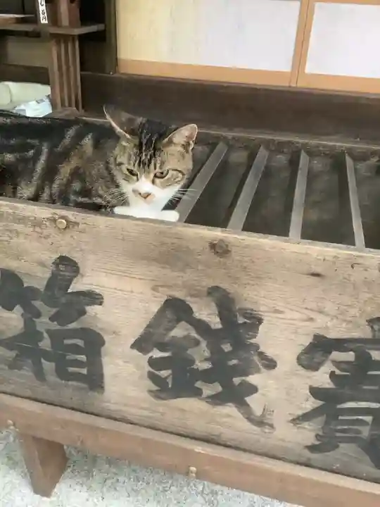 玉野御嶽神社の動物