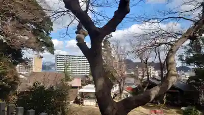 清滝貴布祢神社の自然