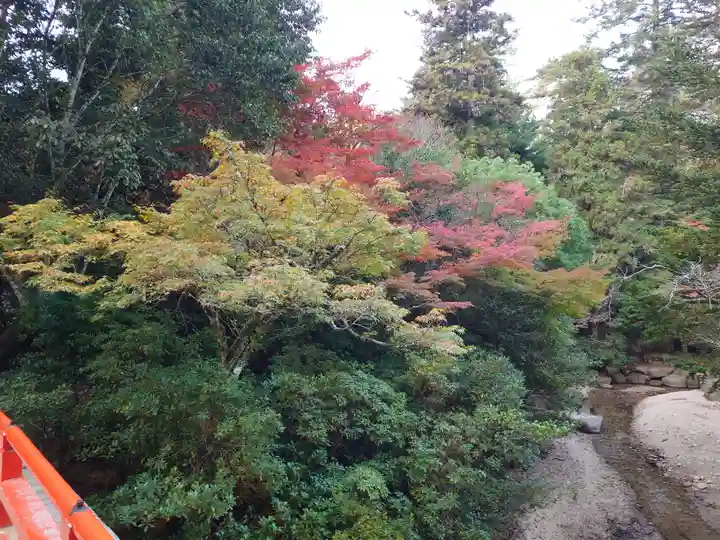 厳島神社(広島県)
