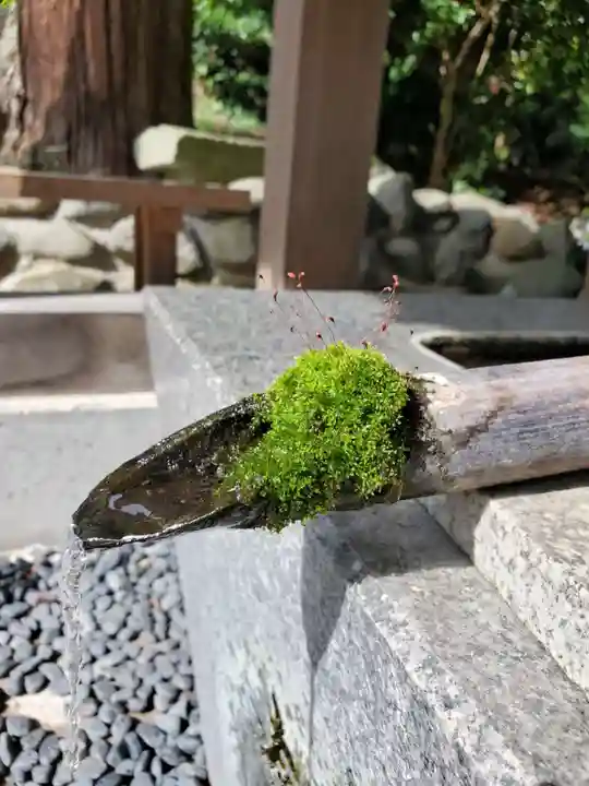 高司神社〜むすびの神の鎮まる社〜(福島県)