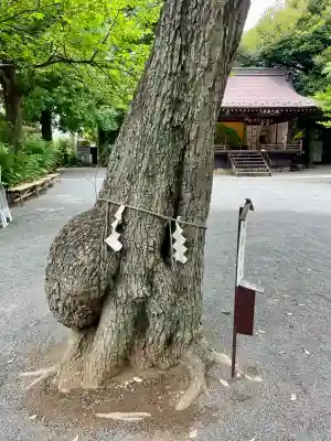 七社神社(東京都)
