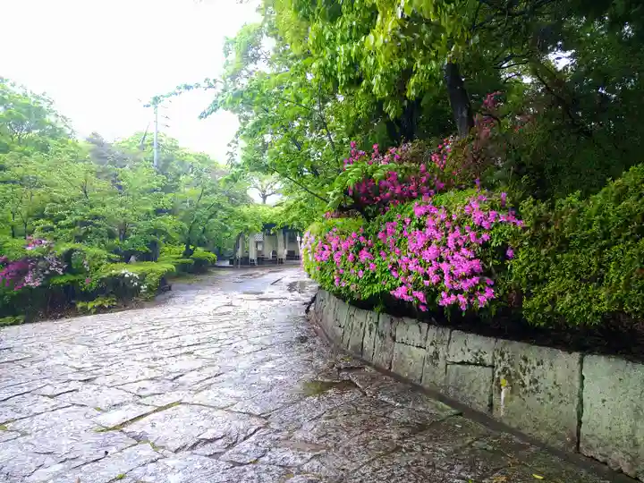 阿智神社の庭園