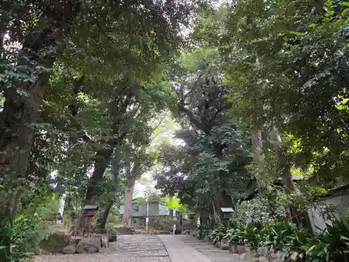 代々木八幡宮の庭園