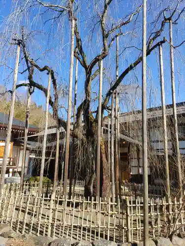 長楽寺(群馬県)