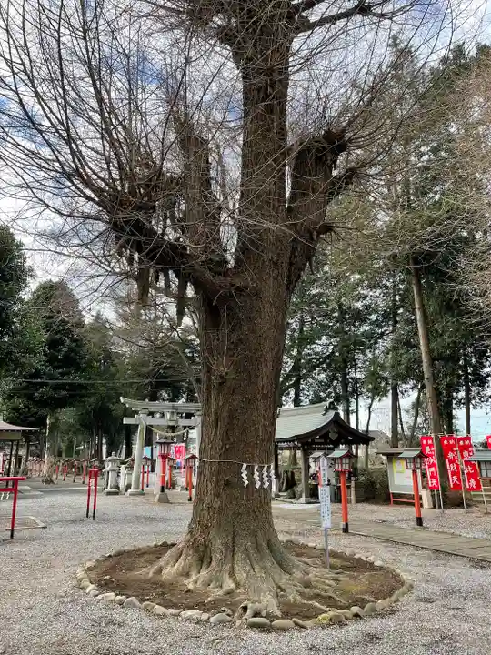 薬師寺八幡宮(栃木県)
