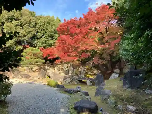 圓徳院(京都府)
