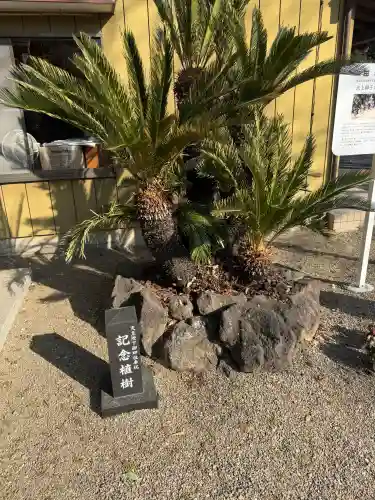 古宮神社の{uncategorized: "未分類", other: "その他", undefined: "問題あり", building: "その他建物", grave: "お墓", sacred_gate: "鳥居", guardian: "狛犬", statue: "像", buddha: "仏像", history: "歴史", nature: "自然", garden: "庭園", animal: "動物", pagoda: "塔", temizu: "手水舎", mountain_gate: "山門・神門", sanctuary: "本殿・本堂", subordinate: "末社・摂社", art: "芸術", scenery: "景色", jizo: "地蔵", ema: "絵馬", goshuin: "御朱印", omikuji: "おみくじ", items: "授与品その他", amulet: "お守り", goshuincho: "御朱印帳", eats: "食事", festival: "お祭り", votive_dance: "神楽", shichigosan: "七五三参", wedding: "結婚式", experience: "体験その他", initially: "初詣", around: "周辺", anti_infection: "感染症対策"}
