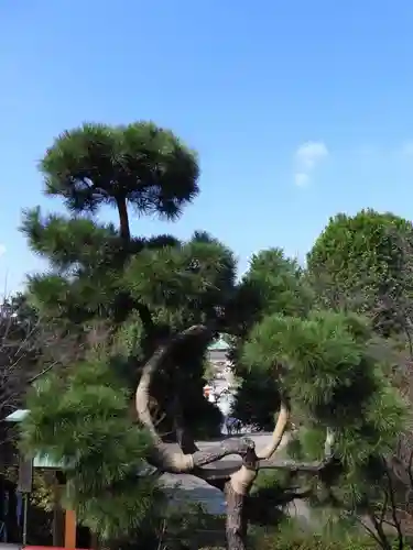 清水観音堂(東京都)