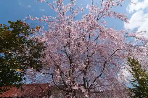 豊景神社の自然