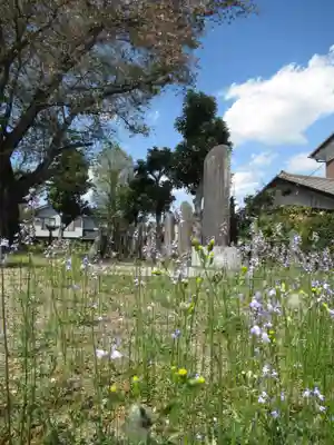香取神社(千葉県)