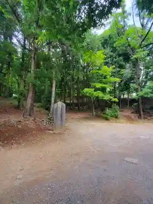 賀茂別雷神社(栃木県)