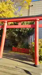 子安稲荷神社の鳥居