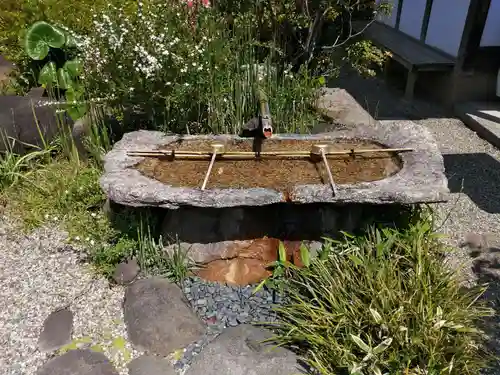 十輪院の手水舎