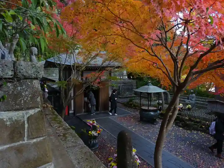 長谷寺(神奈川県)