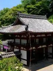 岡寺（龍蓋寺）(奈良県)