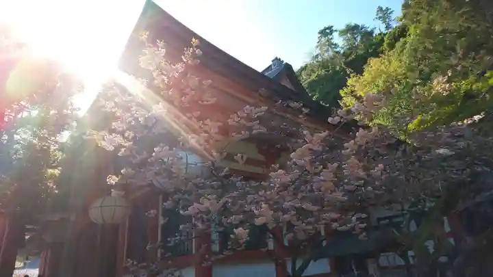 鞍馬寺のその他建物