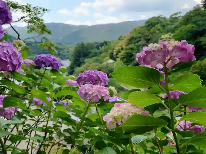 長谷寺(奈良県)