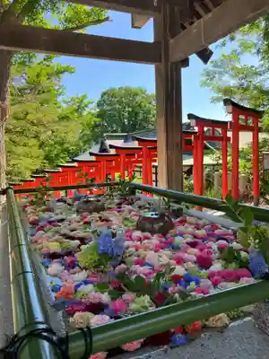 住吉神社の手水舎