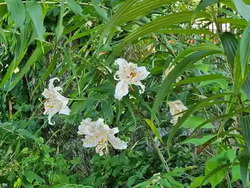 伊香保神社(群馬県)