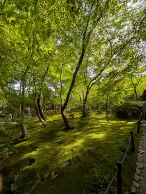 祇王寺(京都府)