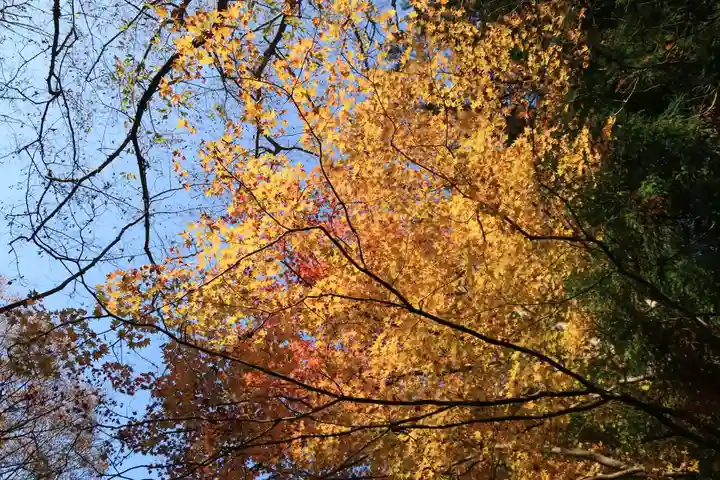 霊山神社の自然