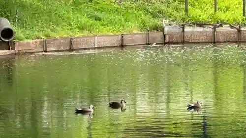 久昌寺(埼玉県)