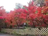 禅林寺(永観堂)(京都府)
