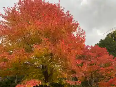 高蔵寺(兵庫県)