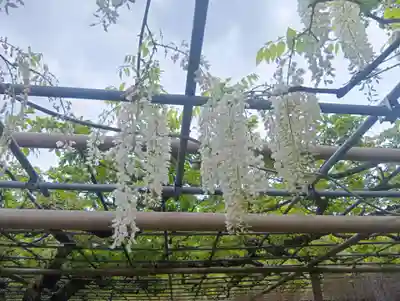 曼陀羅寺(愛知県)