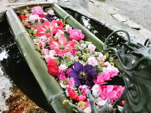 立志神社の手水舎
