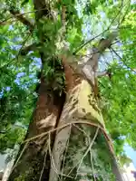 溝旗神社(肇國神社)(岐阜県)