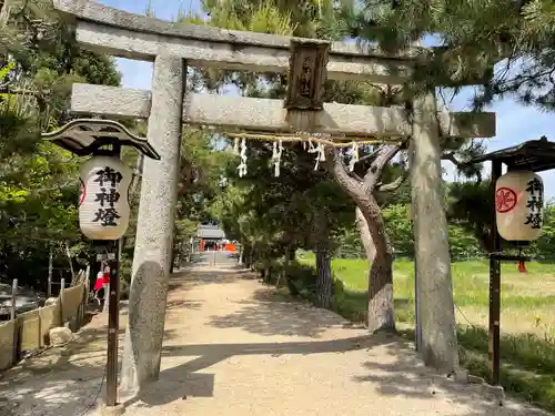 菌神社の鳥居