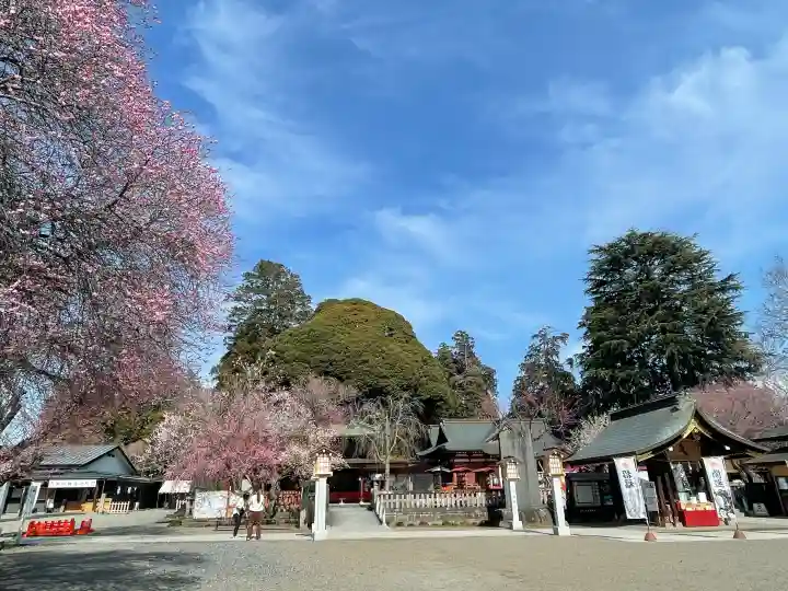 大前恵比寿神社の{uncategorized: "未分類", other: "その他", undefined: "問題あり", building: "その他建物", grave: "お墓", sacred_gate: "鳥居", guardian: "狛犬", statue: "像", buddha: "仏像", history: "歴史", nature: "自然", garden: "庭園", animal: "動物", pagoda: "塔", temizu: "手水舎", mountain_gate: "山門・神門", sanctuary: "本殿・本堂", subordinate: "末社・摂社", art: "芸術", scenery: "景色", jizo: "地蔵", ema: "絵馬", goshuin: "御朱印", omikuji: "おみくじ", items: "授与品その他", amulet: "お守り", goshuincho: "御朱印帳", eats: "食事", festival: "お祭り", votive_dance: "神楽", shichigosan: "七五三参", wedding: "結婚式", experience: "体験その他", initially: "初詣", around: "周辺", anti_infection: "感染症対策"}