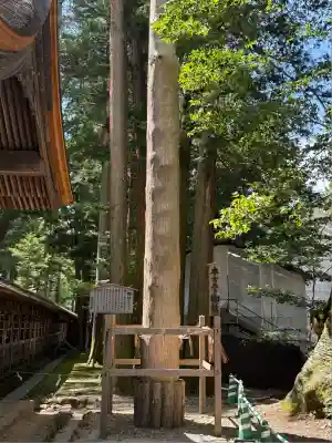 諏訪大社(長野県)