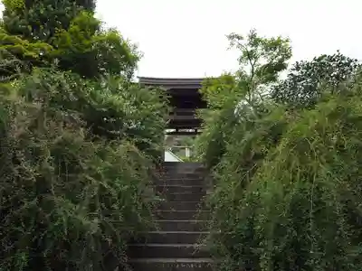 海蔵寺(神奈川県)