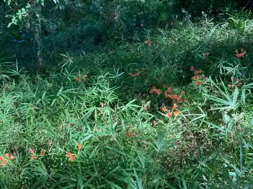 蛟蝄神社門の宮(茨城県)
