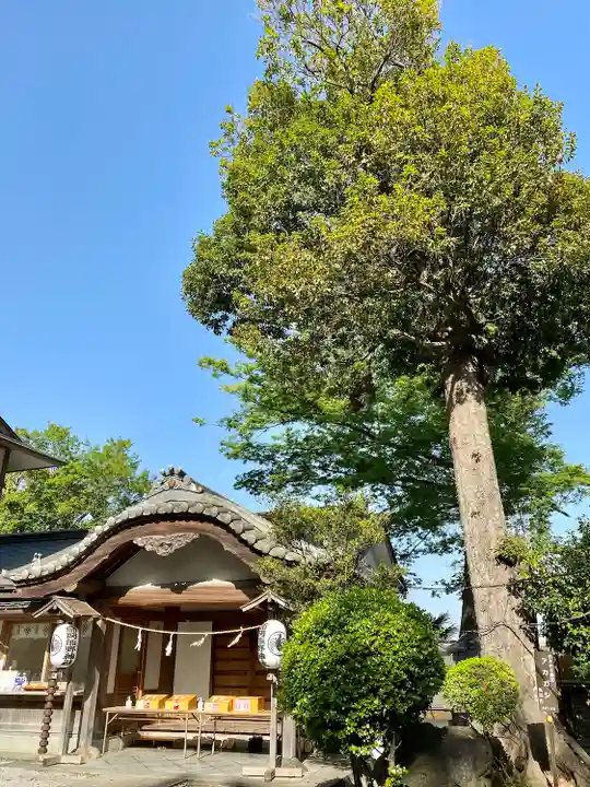 師岡熊野神社(神奈川県)