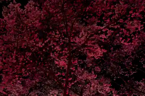 新城藤原神社(長野県)