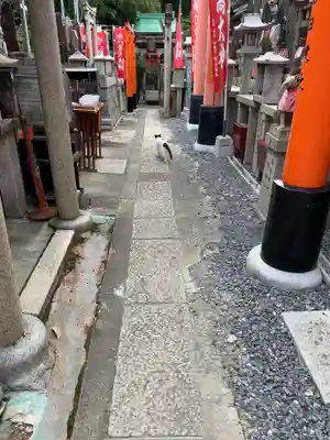 明竹稲荷宮　腰神不動神社のその他建物