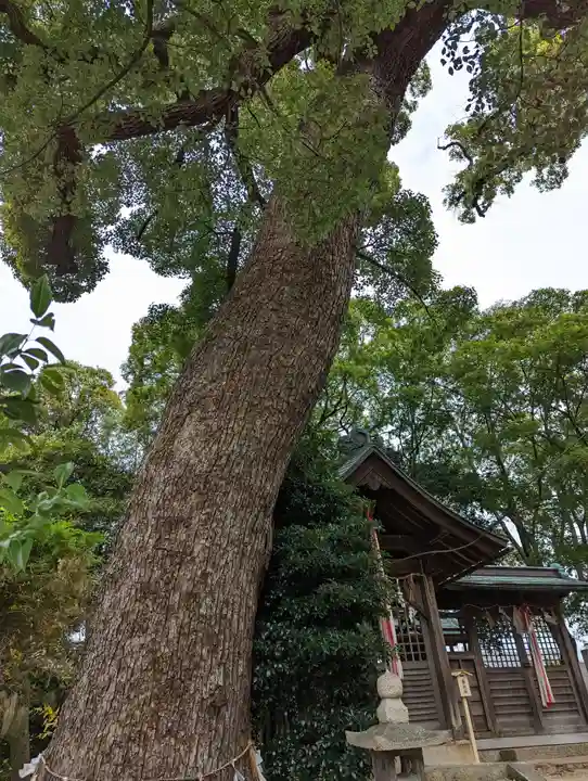 常磐神社(京都府)