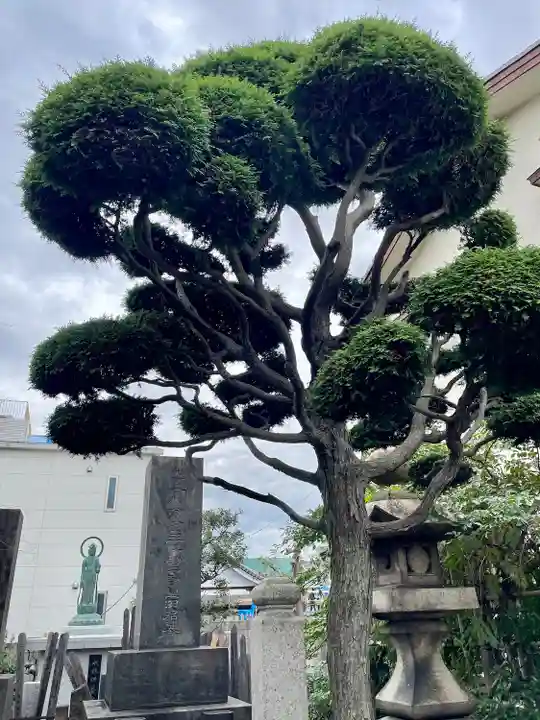 長久院(東京都)