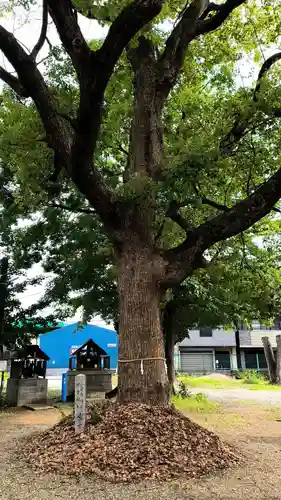 竹渕神社(大阪府)