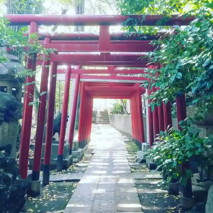 富岡八幡宮の鳥居